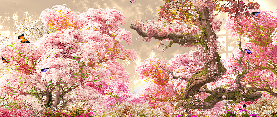Blooming Symphony, Spring Moments with Korean Contemporary Artists